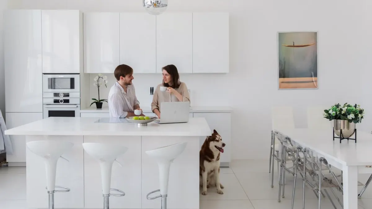 Dog at home near a kitchen