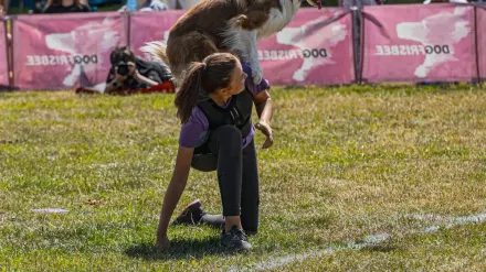 Dog catching frisbee