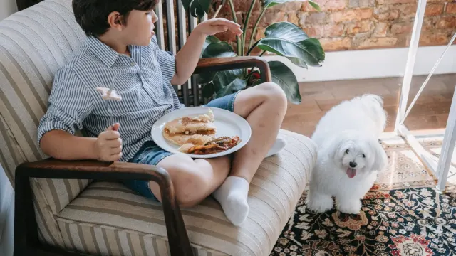 Dog eating from a bowl at home