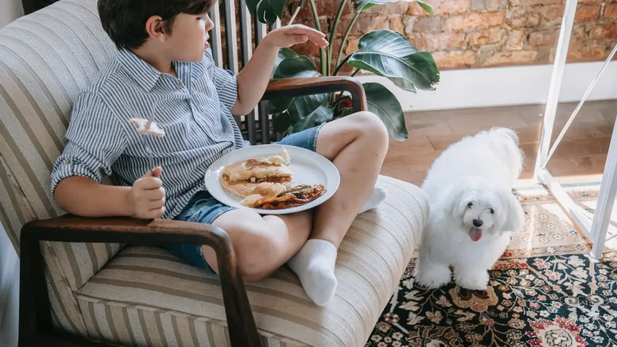Dog eating from a bowl at home