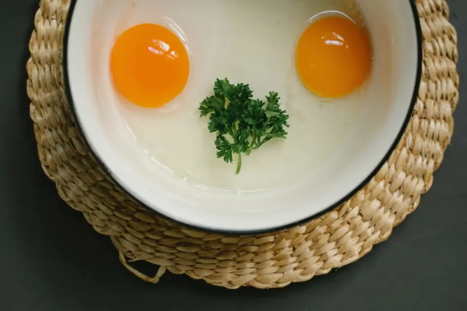 Dog eating from a bowl at home