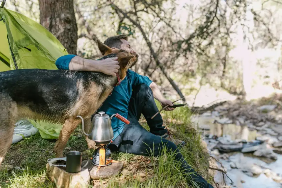 Dog eating outdoors bowl