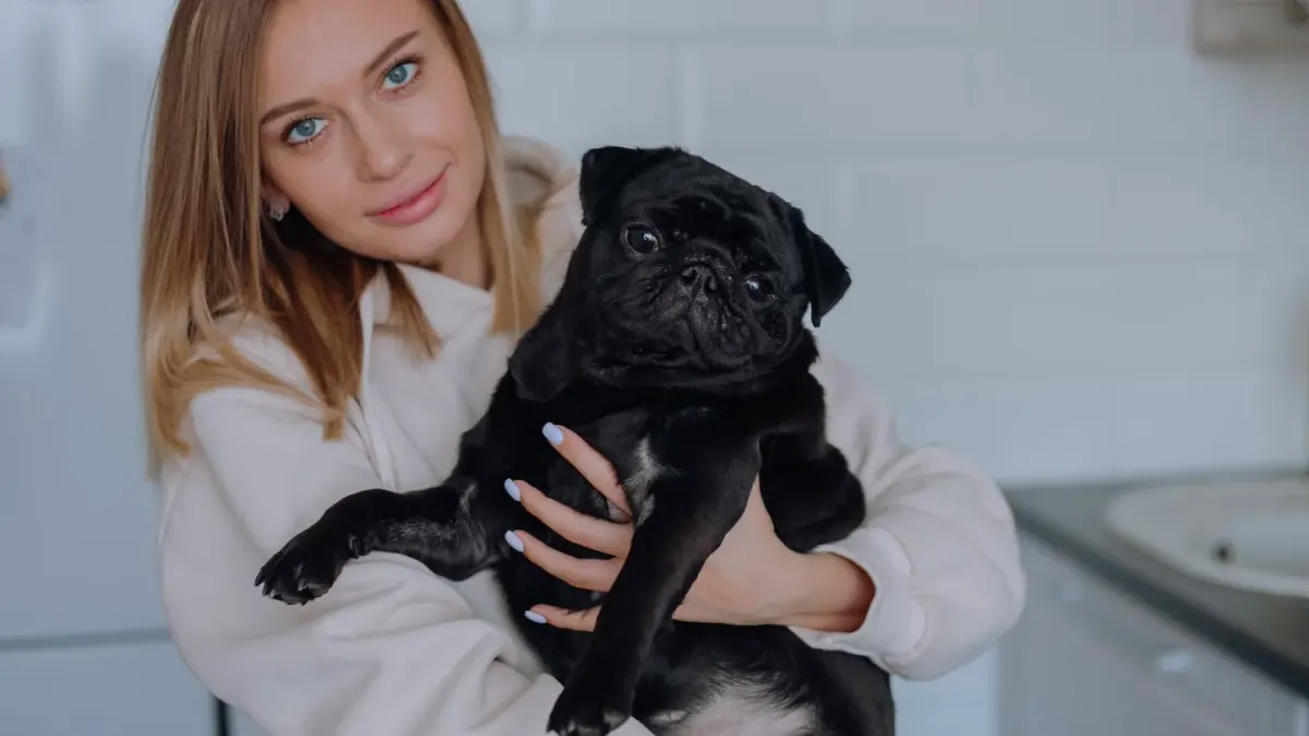 Dog in a kitchen with an owner