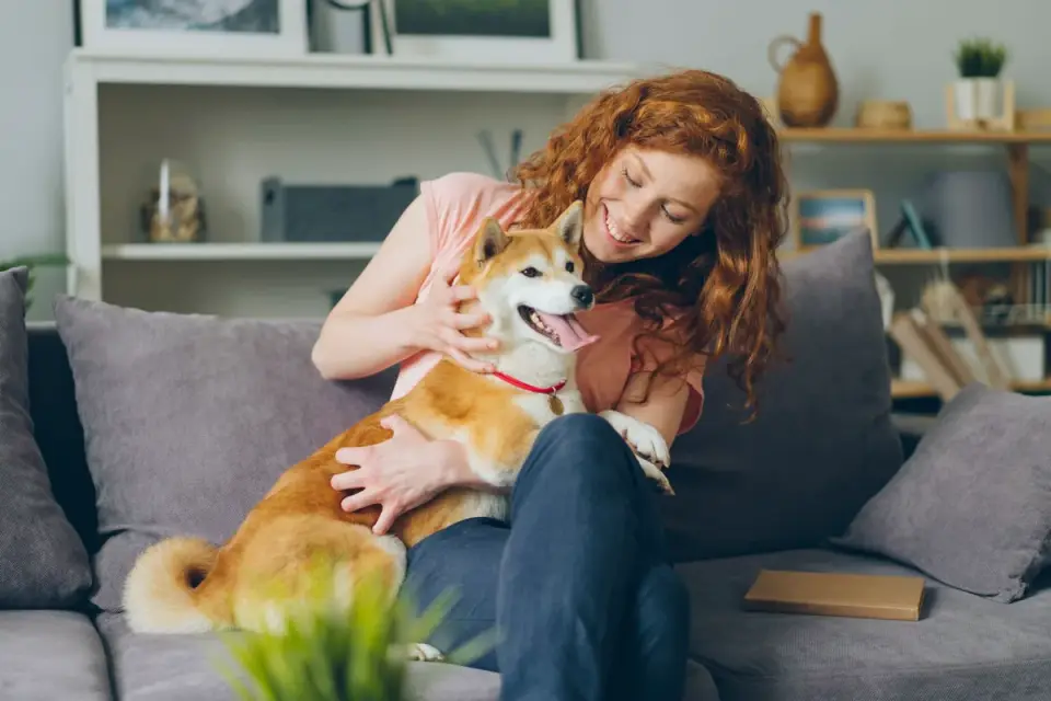 Dog in kitchen with owner