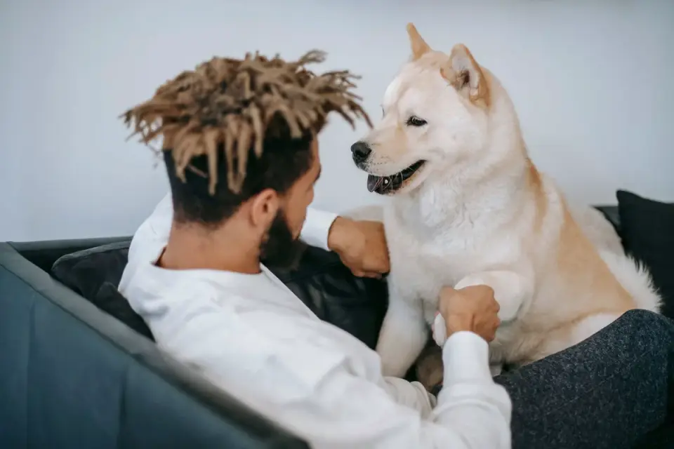 Dog in kitchen with owner