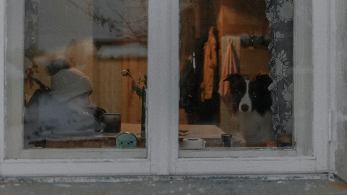 Dog in kitchen with owner