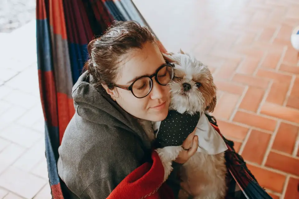 Dog owner comforting dog home