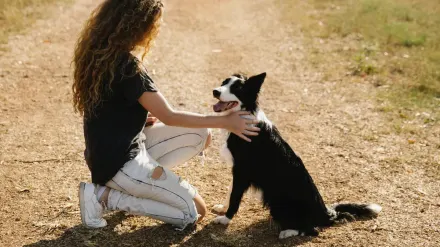 Dog owner comforting dog home
