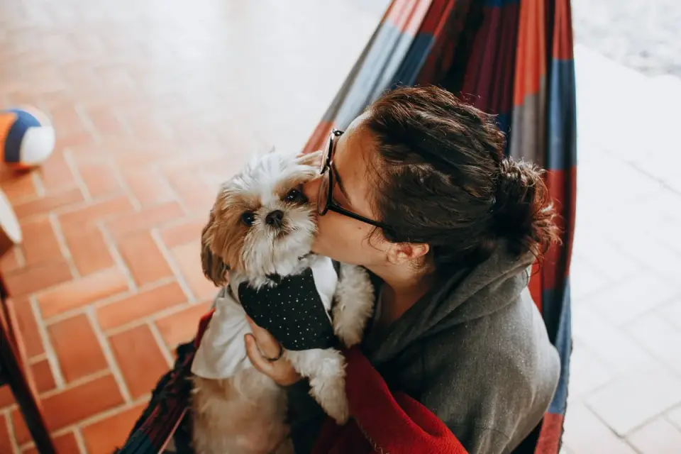Dog owner comforting dog home