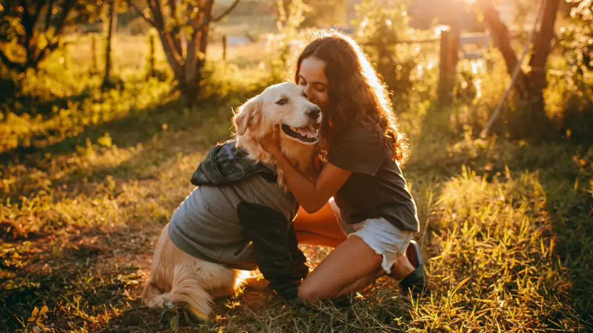 Dog owner comforting dog home