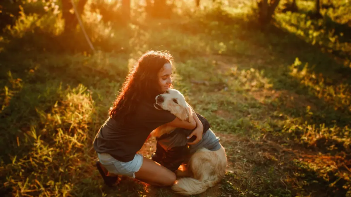 Dog owner comforting dog home