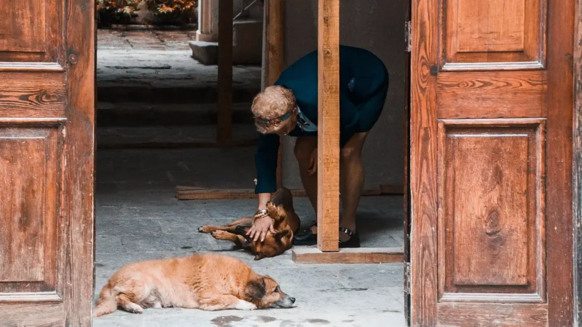 Dog owner comforting dog home