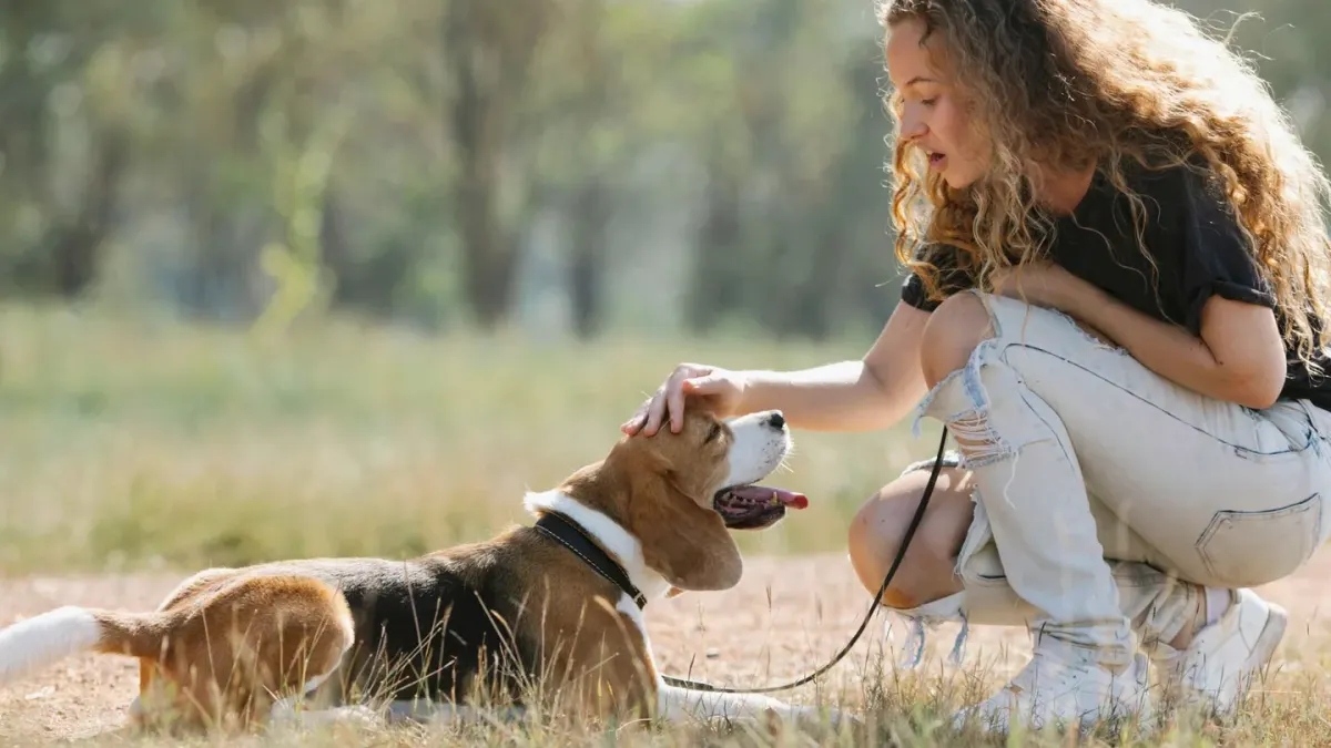 Dog owner comforting dog home