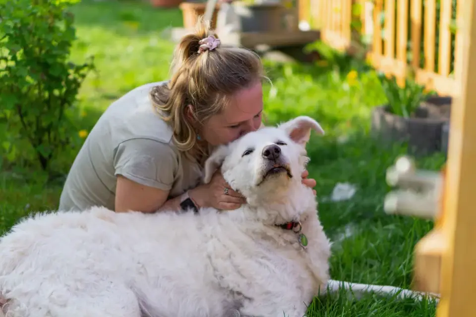 Dog owner comforting dog home