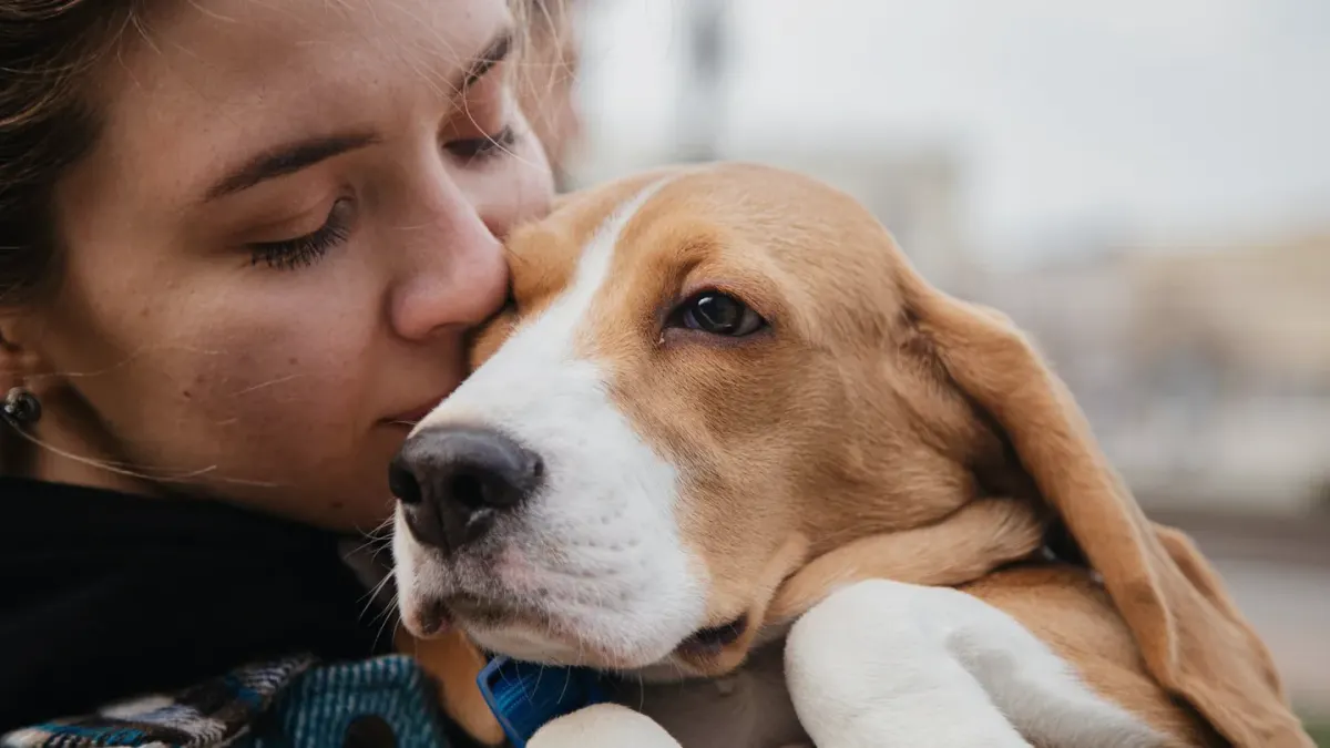 Dog owner comforting dog home