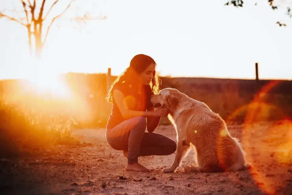 Dog owner comforting dog home