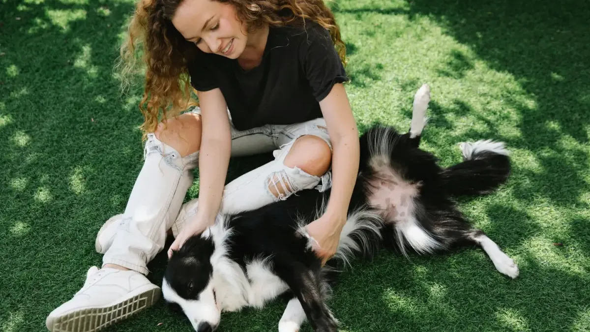 Dog owner comforting dog home