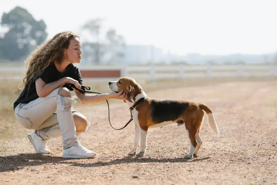 Dog owner comforting dog home