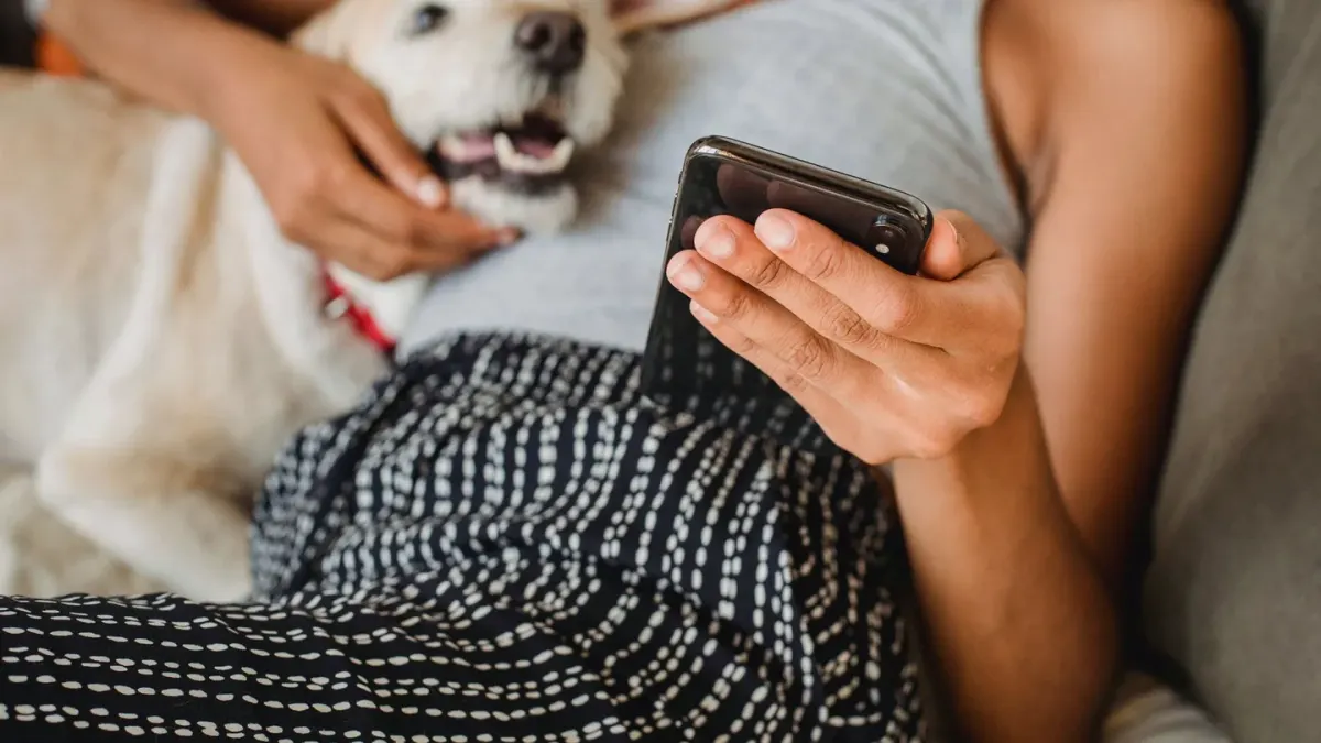 Dog owner home