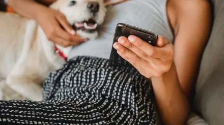 Dog owner home