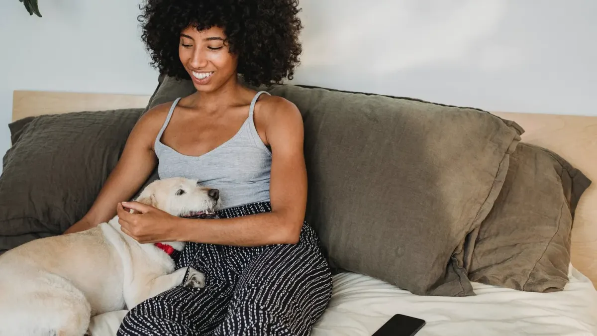 Dog owner home