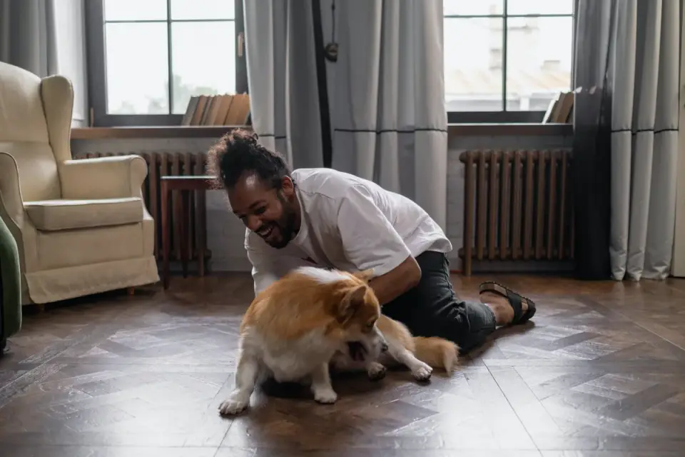 Dog owner home