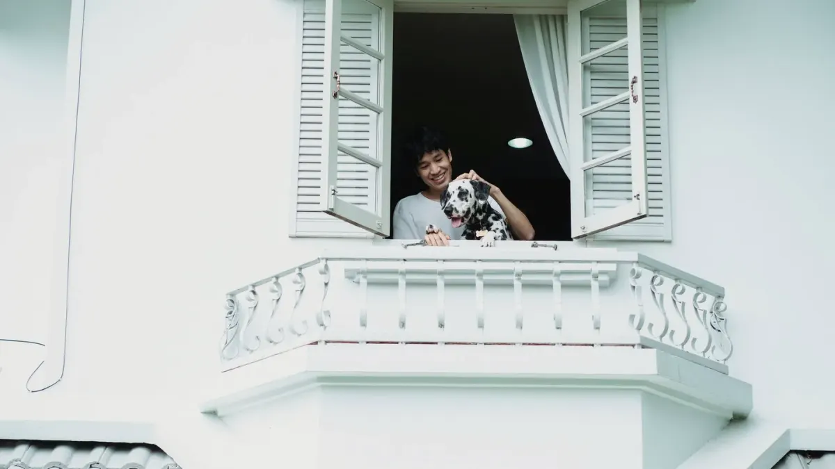 Dog owner home