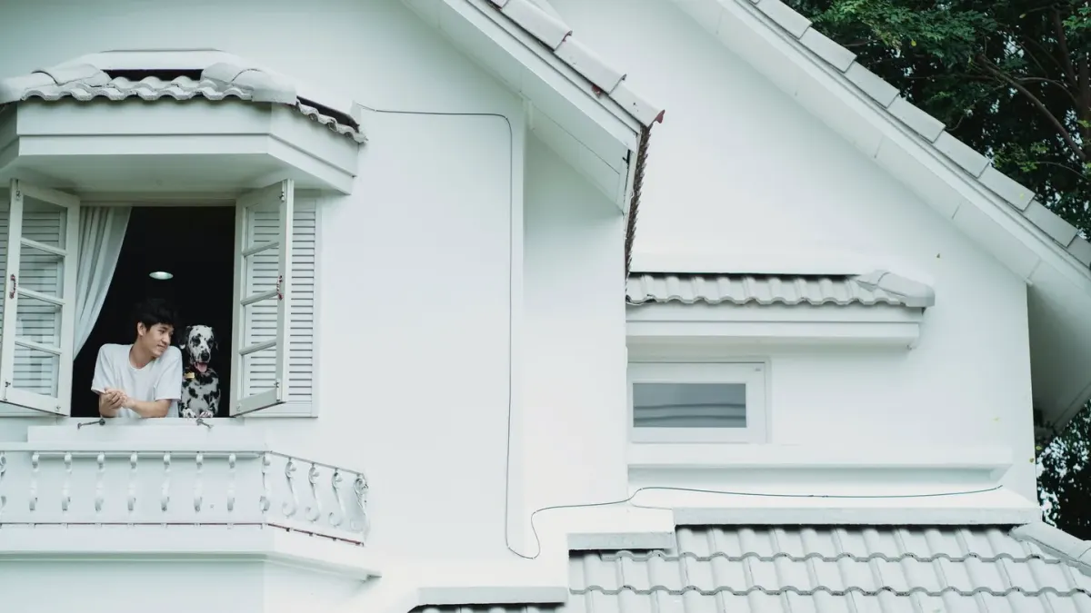 Dog owner home