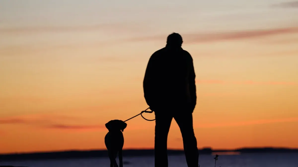 Dog owner home