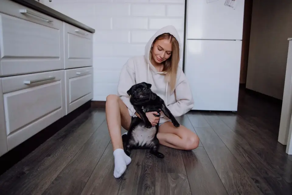 Dog owner preparing a meal