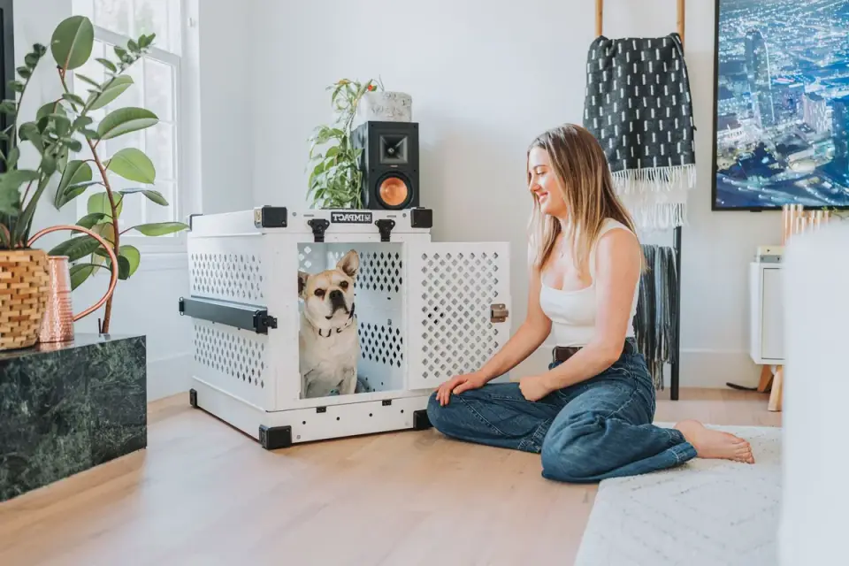 Dog resting beside an owner