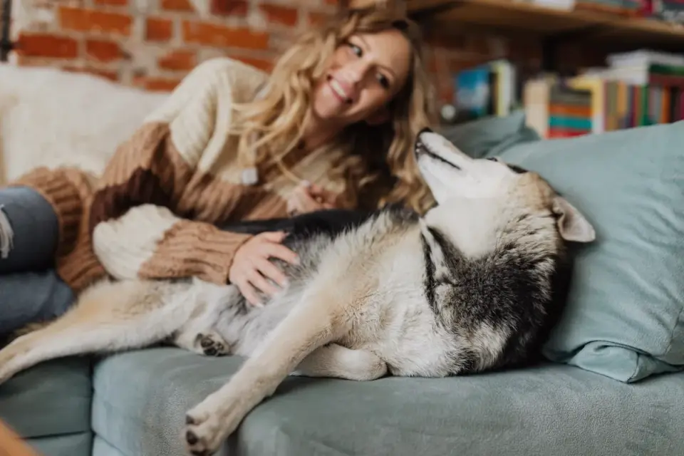 Dog resting beside an owner