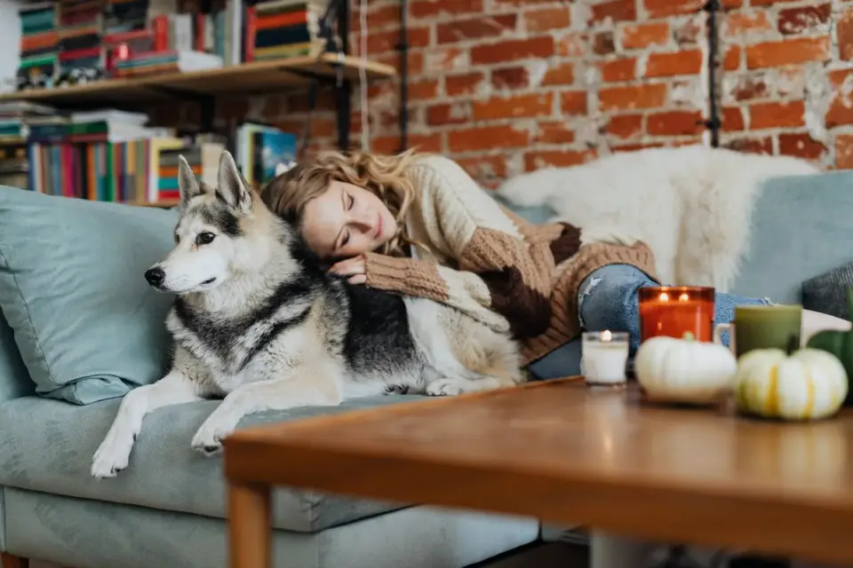 Dog resting with owner living room