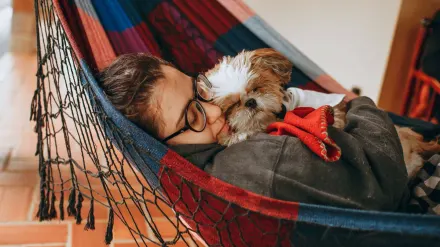 Dog sleeping cozy home