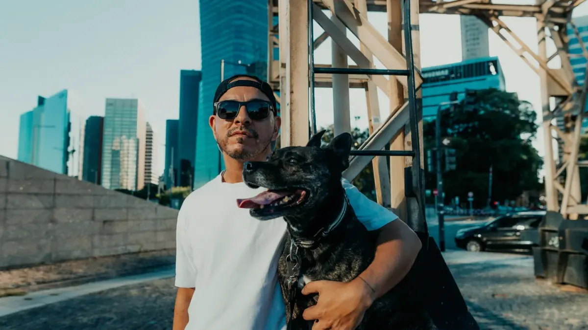 Dog traveling with owner outdoors