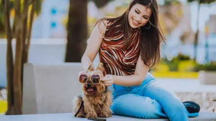 Dog traveling with owner outdoors