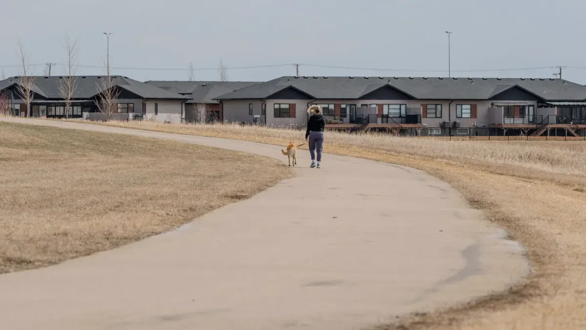 Dog walking outdoors owner