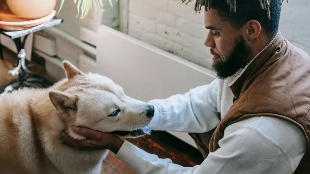 Dog with an owner at home