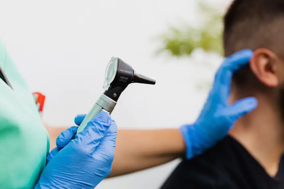 Veterinarian examining a spaniel&#x27;s ear with an otoscope