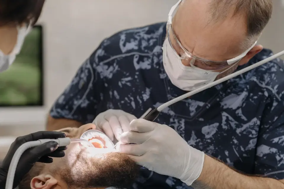 Veterinarian gently checking a dog&#x27;s gum color during an exam